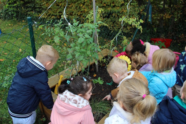 Bild mit Kindern die über in en Hochbeet schauen.